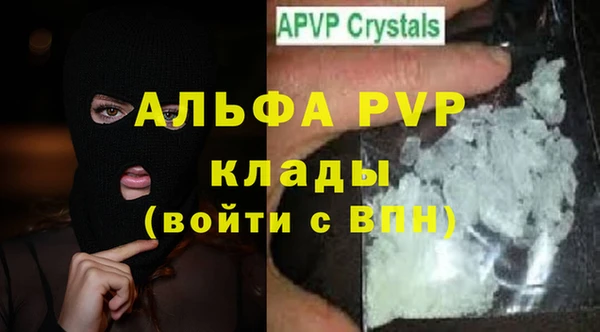 ГАЛЛЮЦИНОГЕННЫЕ ГРИБЫ Тутаев
