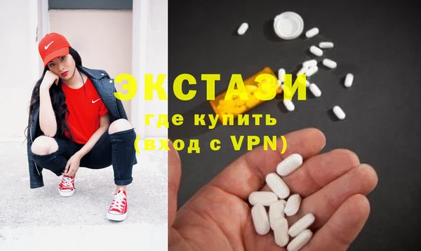 хмурый Ельня