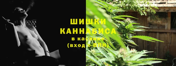 ПСИЛОЦИБИНОВЫЕ ГРИБЫ Елабуга