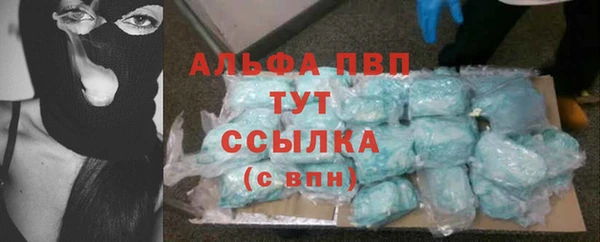 ПСИЛОЦИБИНОВЫЕ ГРИБЫ Елабуга