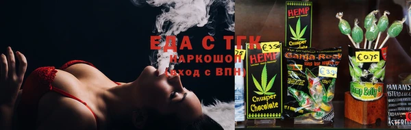 хмурый Ельня