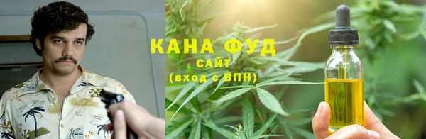 хмурый Ельня