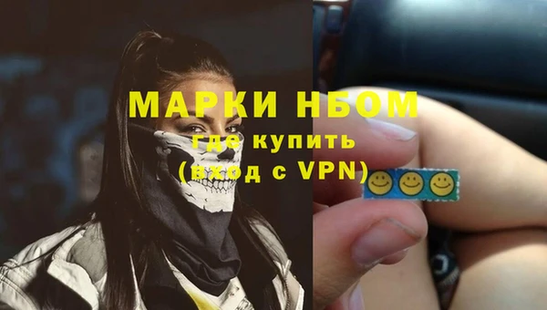 хмурый Ельня