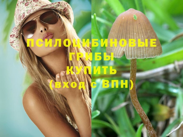 гашик Елизово