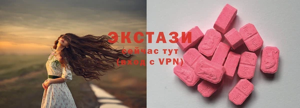 гашик Елизово