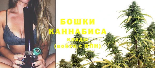 хмурый Ельня