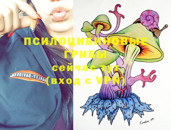 ПСИЛОЦИБИНОВЫЕ ГРИБЫ Елабуга
