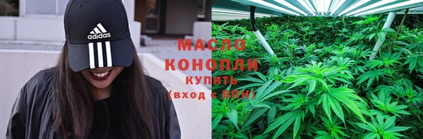 хмурый Ельня